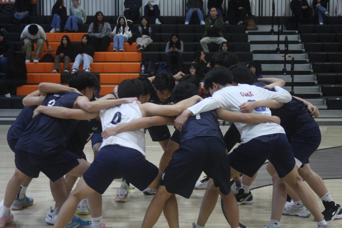 The 2024 boys volleyball team gets hyped ahead of the Los Amigos game.