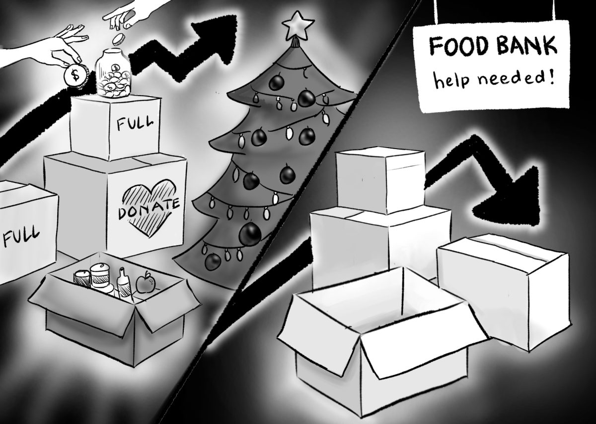 NEGATIVES OF SEASONAL GIVING: Donations to food banks, shelters, etc., decrease after the holiday season, leaving institutions in vulnerable positions.