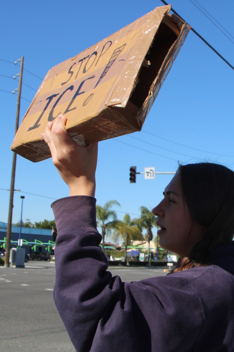 TAKING THE MESSAGE TO THE STREET: Sophomore Amethyst Fredette protests at the corner of Valley View and Ball.