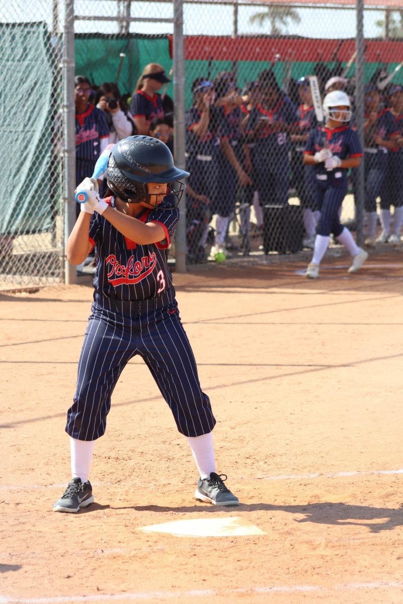 FINISHING STRONG: Freshman softball player Rianne Sampilo prepares to bat, helping her team finish their season along with the other spring sports.