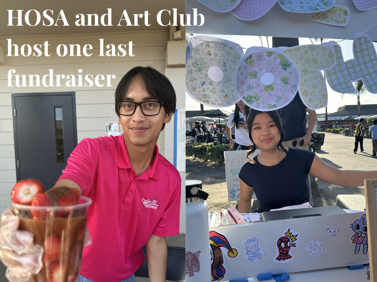 HOSA and Art Club host one last fundraiser